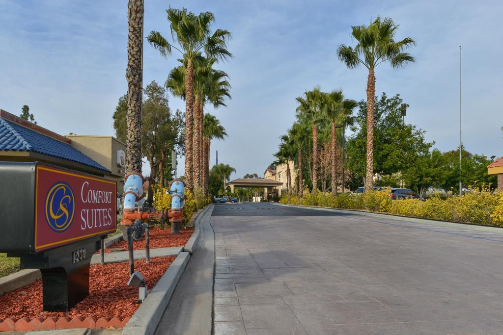 Hotel Citrus Loma Linda