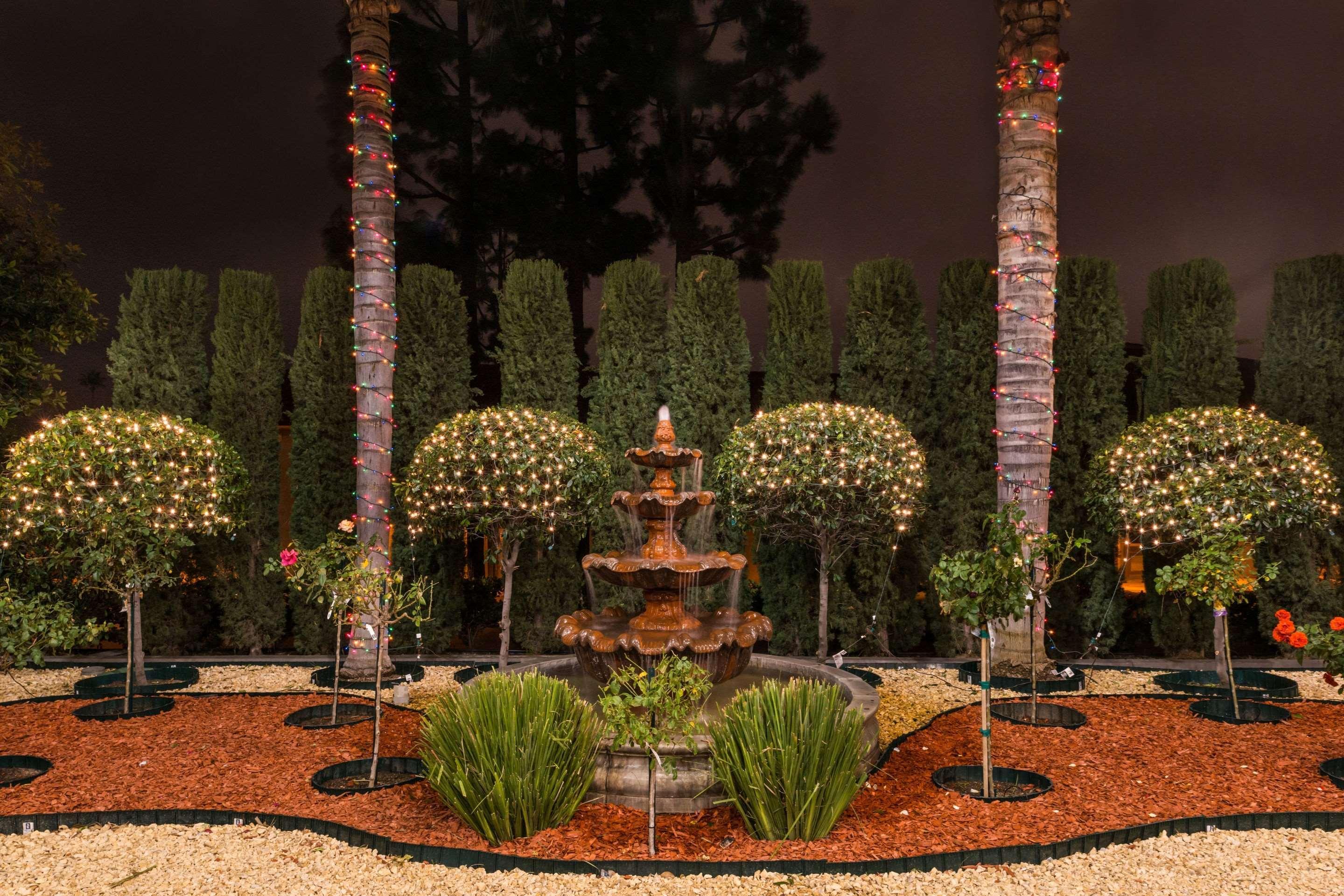 Citrus Loma Linda 3* Redlands